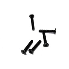 Болтики M2 10мм, 5шт [11932]